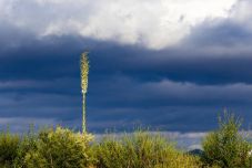 Erdélyben viharok és sok eső, délen és keleten kánikula várható