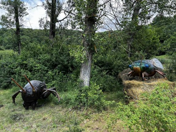 „Bogárinvázió Szejkén” – egyedülálló projekten dolgozik a Mini Erdély Park ötletgazdája