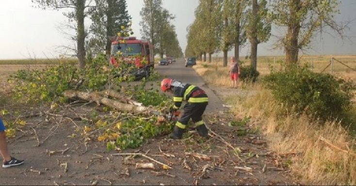 Fákat döntött ki a szélvihar, járművek rongálódtak meg, a forgalom leállt