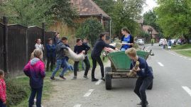 A ribizli ünnepe Esztelneken: kétnapos rendezvényt szerveznek