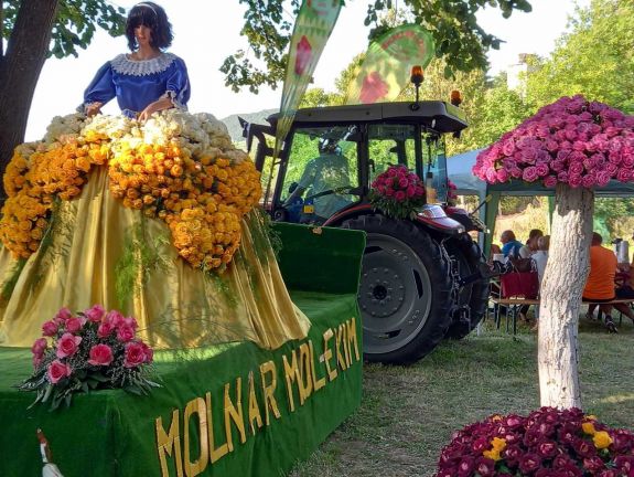 Jubileumi rózsafesztivált tartottak a Fehér megyei Csombordon