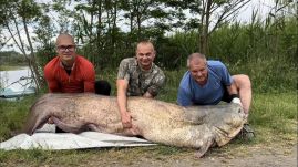 Gigászi harcsát fogott ki egy magyar horgász