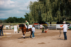 Hetedik alkalommal szervezték meg az ország egyetlen lovasterápiás versenyét Lőrincrévén