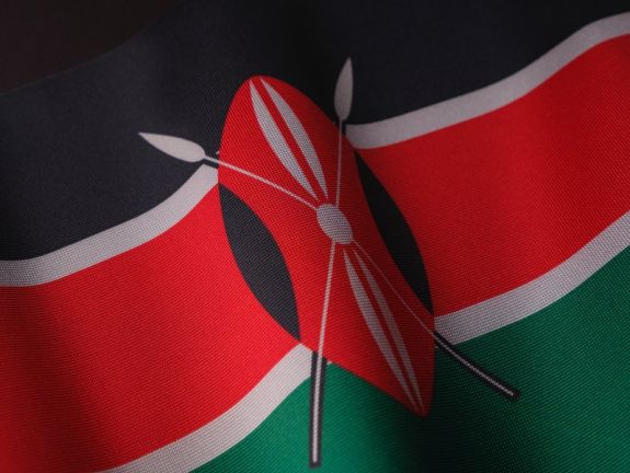 Rasszista megjegyzések miatt kirúgták Románia kenyai nagykövetét