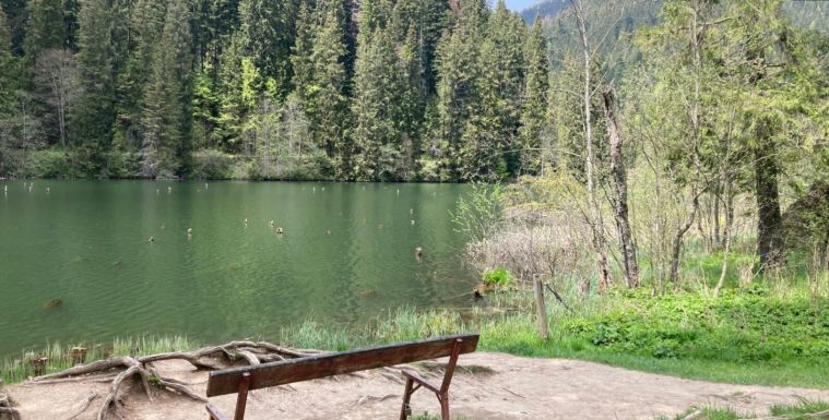 Hiába tulajdonos Gyergyószentmiklós, a Gyilkos-tó és környéke hasznosításáról egy budapesti kerület dönthet