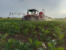 Hetvenezer euróra pályázhatnak a fiatal gazdák