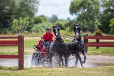Háromszéki lovas térképet is bemutatnak Oltszemen a nemzetközi fogathajtó versenyen