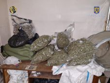 Lecsaptak a kannabisztermesztőre; óriási mennyiségű marihuánát foglaltak le