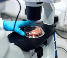 Létrehozták az első szintetikus emberi embriót, petesejt és hímivarsejt sem kellett hozzá