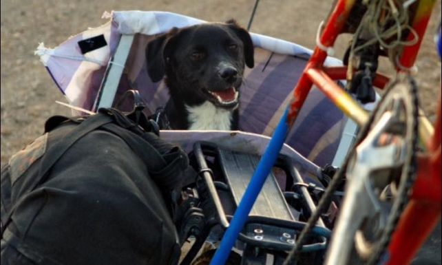 Romániában talált hűséges útitársat magának egy brit világutazó, azóta el sem szakadnak egymás mellől