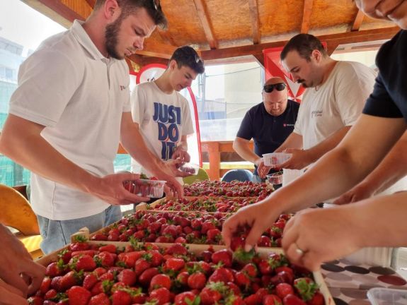 Szatmár megye: édesség helyett epret kaptak a gyermekek