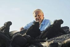 Cápák támadtak David Attenborough stábjára