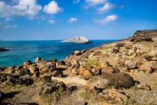 Nem okozott piaci felfordulást a turizmusban a Fekete-tenger fertőzöttségével kapcsolatos hisztéria