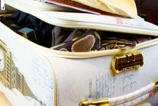 73 kígyót és 2 teknőst találtak egy férfi csomagjában a reptéren