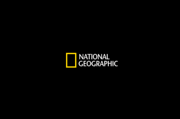 Valamennyi riporterétől megválik a National Geographic