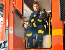 Kölyökkutyát mentettek ki a tűzoltók a csatornából