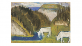 Megjelent a Székelyföld folyóirat júniusi száma