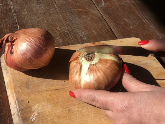 Hagymaválság a világpiacon, drága a hagyma a hazai piacokon