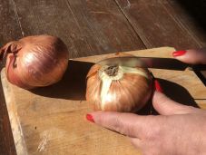 Hagymaválság a világpiacon, drága a hagyma a hazai piacokon