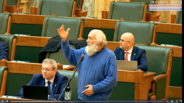 A szeretőket is köszöntette egy román szenátor a parlamentben nőnap alkalmából