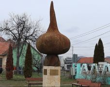 A hagyma egyik erdélyi hazájában, Szilágyperecsenben jártunk