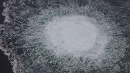 Moszkva ragaszkodik az Északi Áramlatnál történt robbantás pártatlan kivizsgálásához