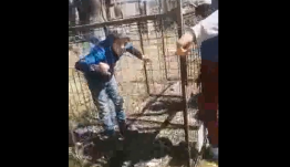 Diáktársai ketrecbe zártak és botokkal vertek egy 12 éves fiút – egy év sem volt elég az elkövetők felelősségre vonására