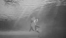 Elpusztult a „világ legmagányosabb bálnája”