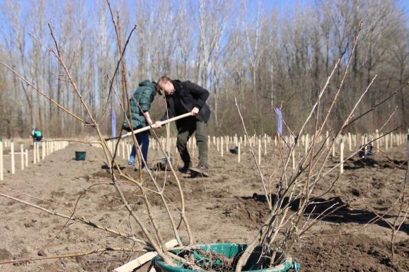 Faültetés hónapja: erdősítési maraton kezdődött Biharban 