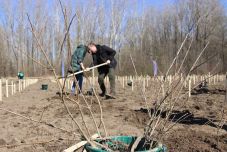 Faültetés hónapja: erdősítési maraton kezdődött Biharban 