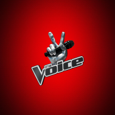 Erdélyi tehetségeket keres a The Voice! (X)