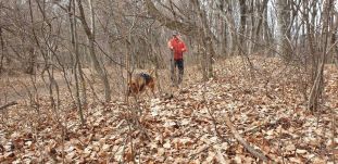 Holtan találtak rá egy Bihar megyei fiatalra egy Kolozsvár melletti erdőben