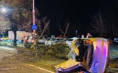 Fának ütközött autójával a részeg sofőr Kolozsváron