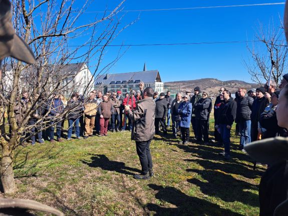 Gyümölcsfametszési szakmai napot tartottak Marosvásárhelyen