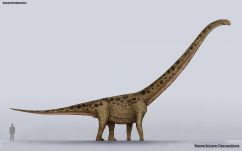 Megtalálták a leghosszabb nyakú dinoszauruszt