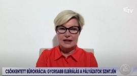 Hegedüs Csilla az ETV-ben: robot fogja elbírálni az EU-s pályázatokat
