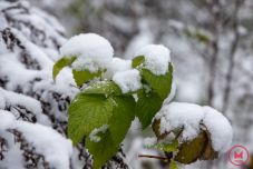 Erős lehűlésre, éjszakánként kemény fagyokra kell számítani