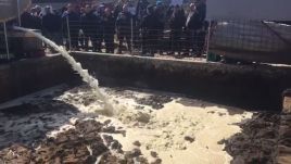 Demonstráltak a szarvasmarhatartó gazdák, emésztőgödörbe öntötték a tejet