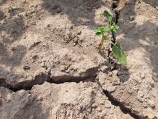 Szigorították a vízkorlátozási intézkedéseket Dél-Franciaországban