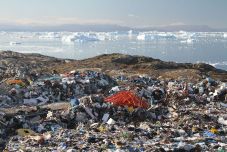 Megtalálták a műanyagot hidegben is megemészteni képes gombákat