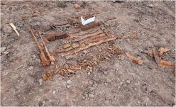 Szeben megye: több mint 1200 töltényre bukkantak a mezőn