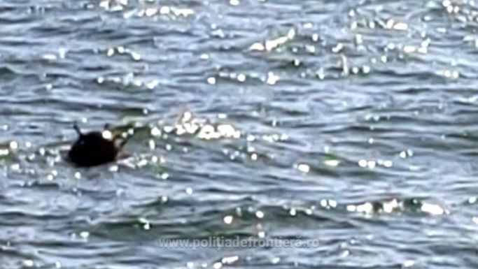 Tengeri aknát találtak a Fekete-tengeren Sulina közelében