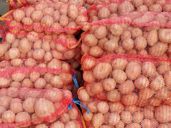 A krumpli-, zöldség- és gyümölcstermesztőknek is jár ezután állami támogatás