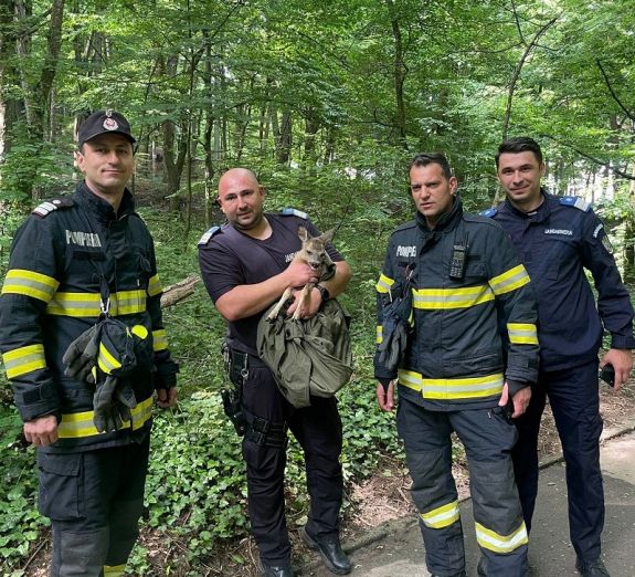 Őzgidát mentettek a csendőrök