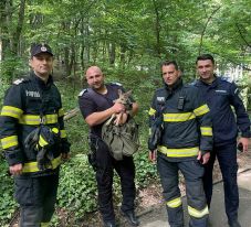 Őzgidát mentettek a csendőrök