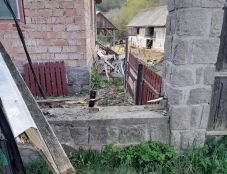 Megbontotta a kerítést, majd mészárlást végzett a juhok között a medve Mikóújfaluban