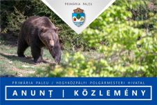 Medve jelenlétére figyelmeztetnek a Nagyvárad melletti Hegyközpályiban