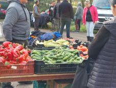 Túlzott koncentrációjú permetezőszerekkel kezelt zöldségek kerültek forgalomba