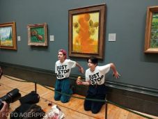 Radikalizálódó klímavédők: kevesebb gyerekkel a Föld védelméért? 