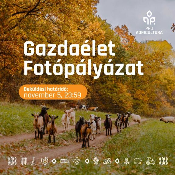 Gazdaélet témában hirdettek fotópályázatot
